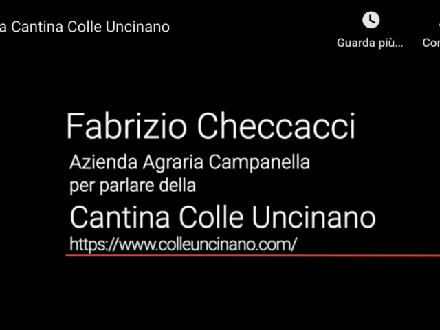 Cantina Colle Uncinano